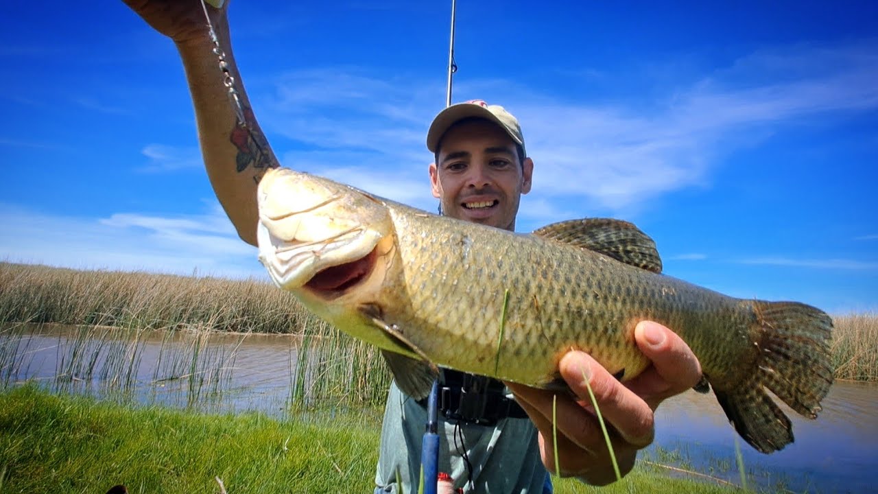 PESCA DE TARARIRAS, CAMINANDO Y EXPLORANDO HERMOSO LUGAR !!!!