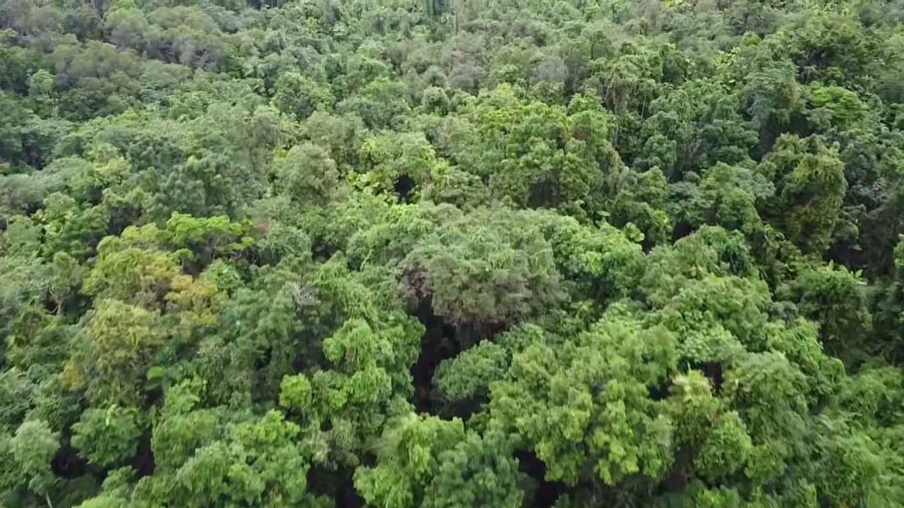 Far North Queensland - Drone Footage