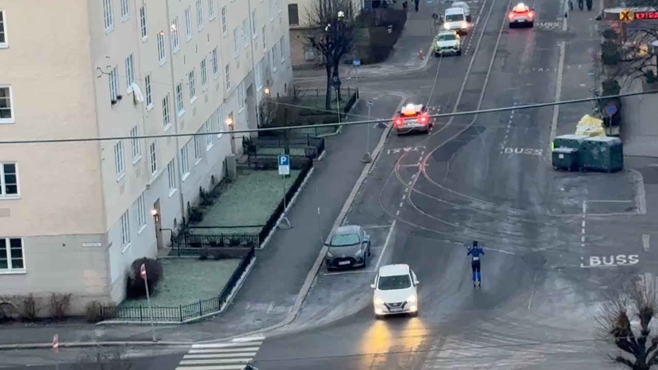 Роль 12 Новака и Ролида
