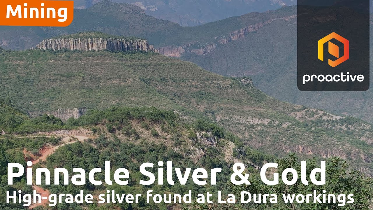 Pinnacle Silver and Gold расширяет 500-метровую минерализованную зону в Эль-Потреро с помощью нов...