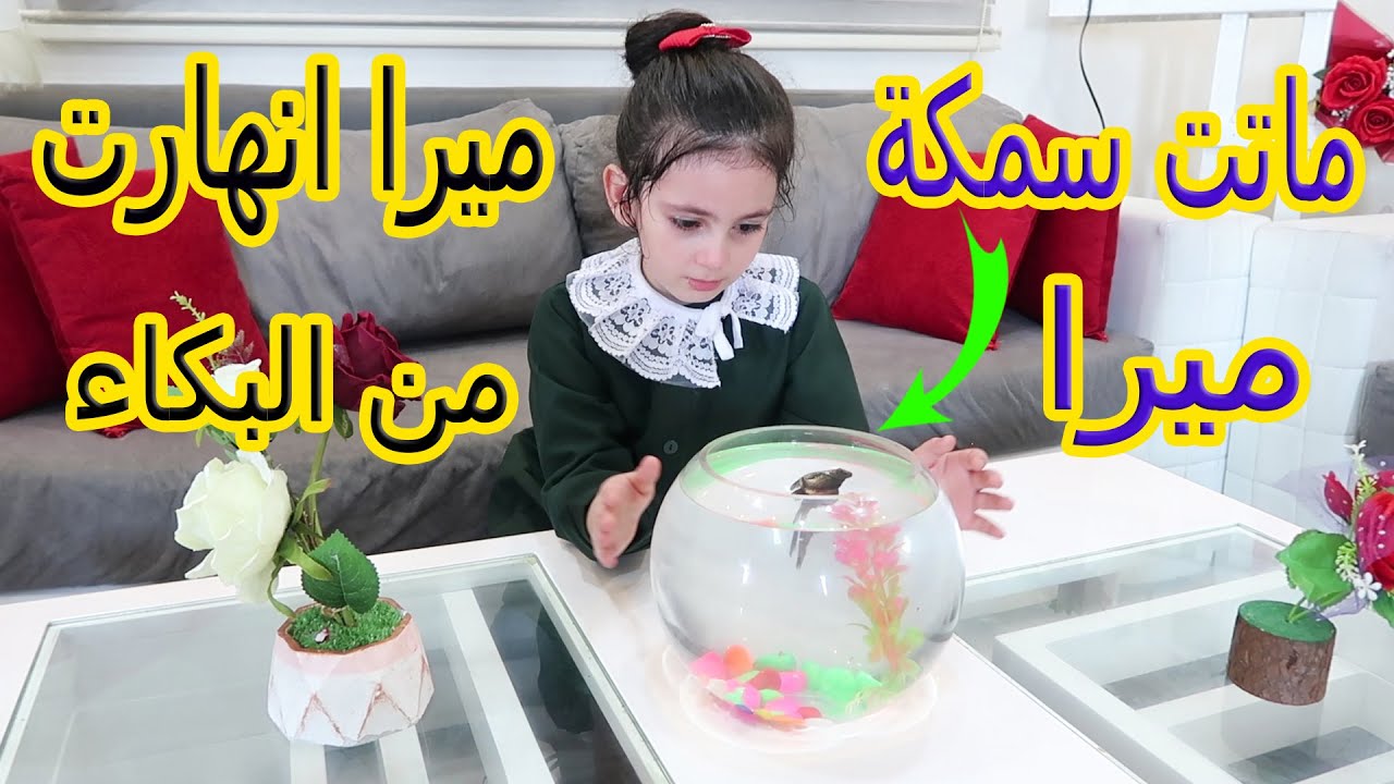 سمكة ميرا ماتت😱لحظات مؤثرة وحزينة😭😭