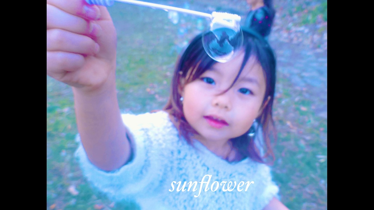 ARASHI KAWAMURA-sunflower（Official Music Video）