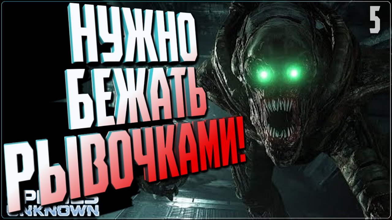НУЖНО БЕЖАТЬ РЫВОЧКАМ 🔵 Species: Unknown