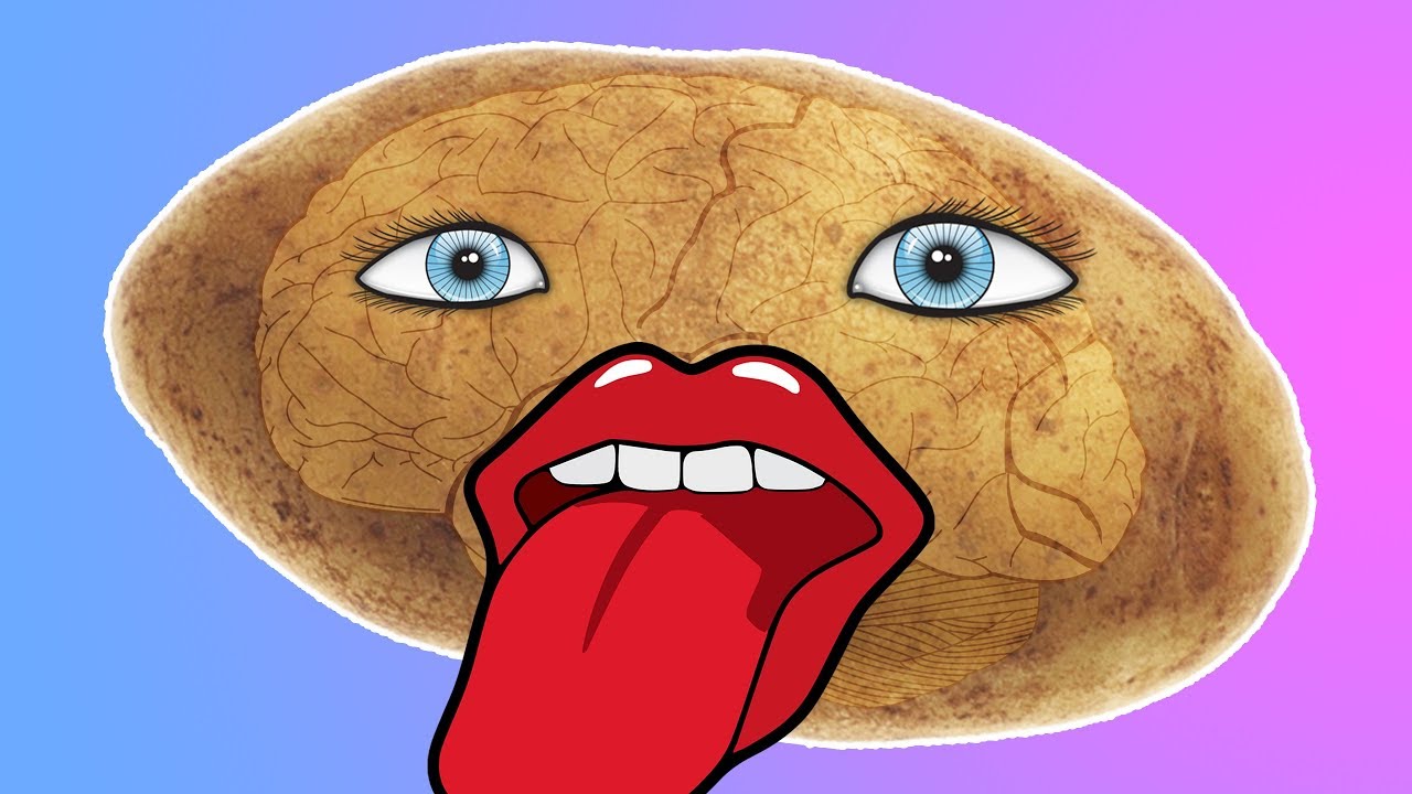 Forcing a Potato to Evolve Into Intelligent Life  - Species: Artificial Life, Real Evolution
