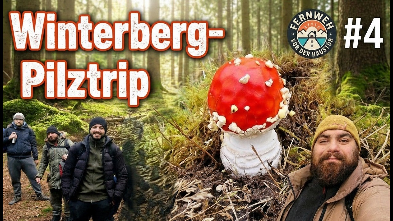 Vom Baum getroffen?! 😱🌲4 vs. Wild  1. Trekking Erfahrung Winterberg⛰️ [Fernweh vor der Haustür #4]