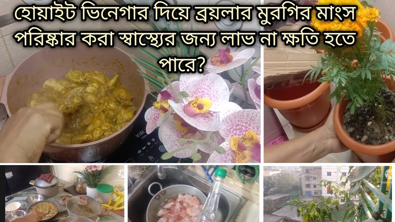 স্বাস্থ্যের উপকার করতে গিয়ে ক্ষতি করছি না তো ? হোয়াইট ভিনেগার #minivlog #familychannel #cooking 