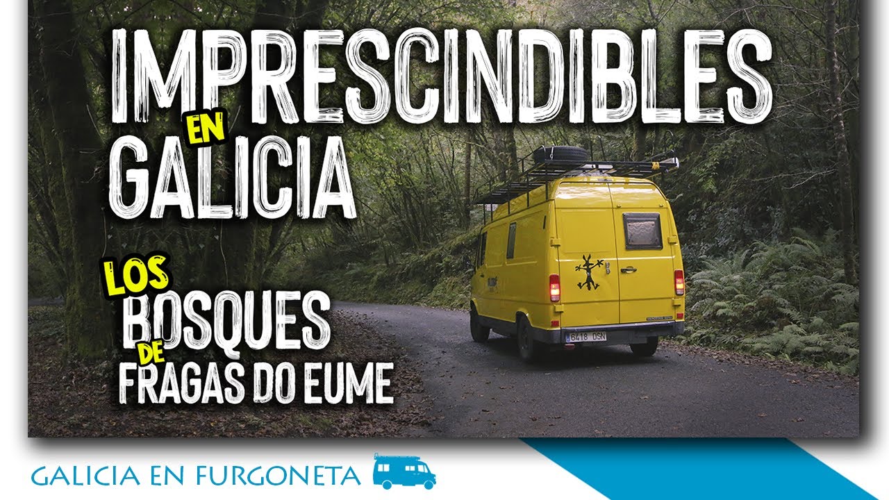 Qué ver en Fragas do Eume | Rumbo a Galicia en Furgoneta #11