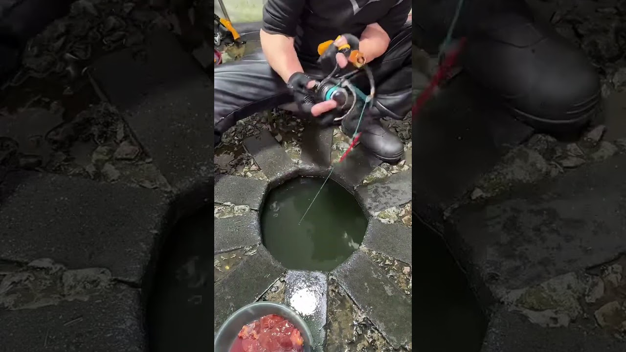 中国旅行直播 China Travel Live Streaming 2026/03/07 23:57:09.