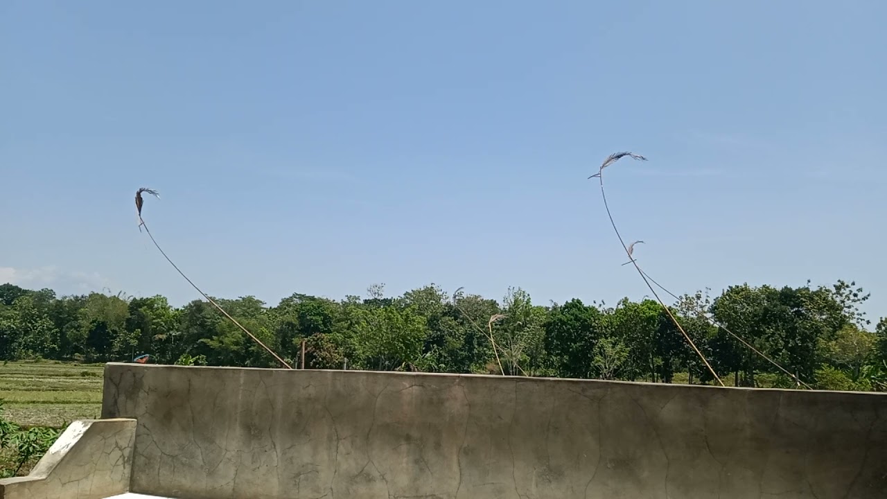 kolecer bambu cidahu kuningan