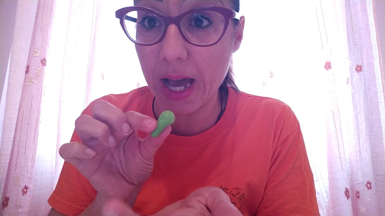 Tartaruga in pasta di sale