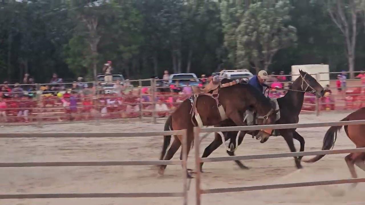 Bamaga rodeo 2024