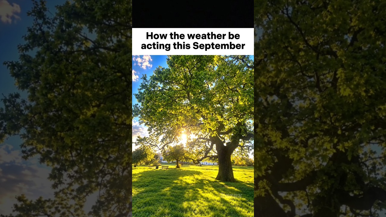 Weather this September be like: #memes