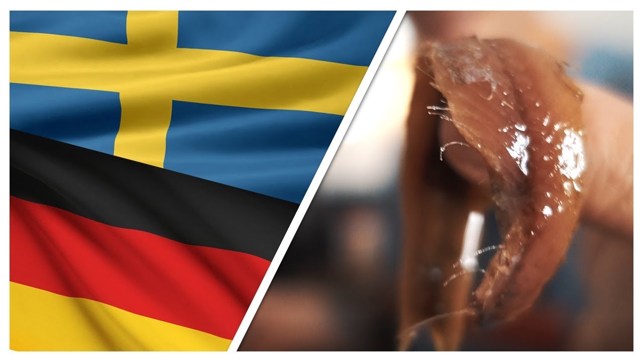 DEUTSCH kocht SCHWEDISCH - Eklig oder nicht?