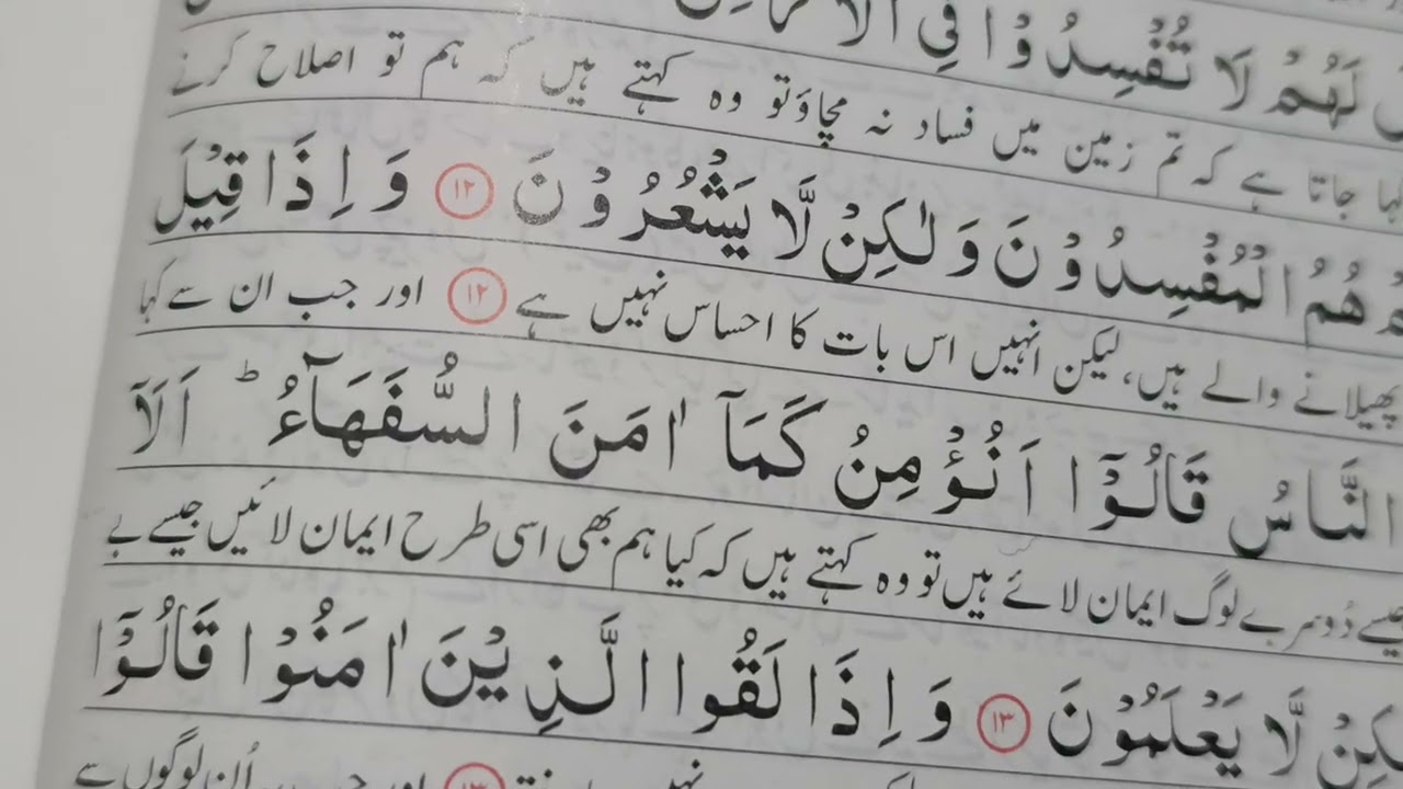 آسان ترجمہ سورۃ البقرہ آیت 11.12.13.14