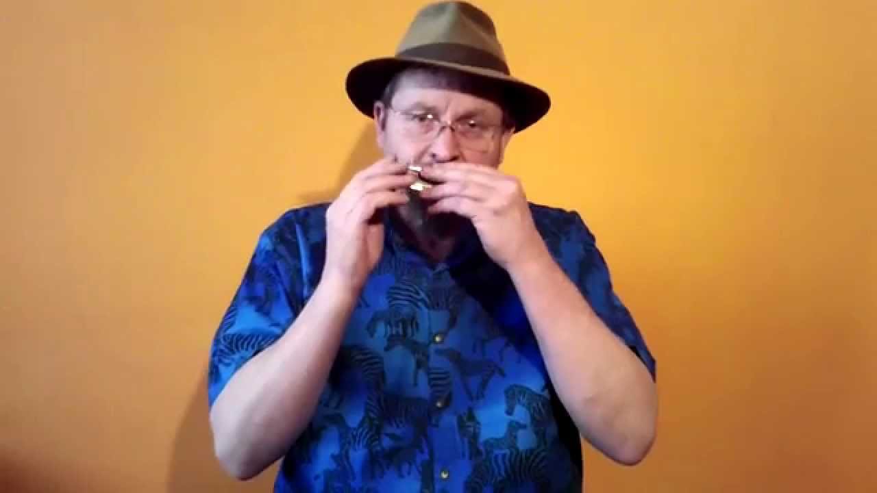 The 12-hole SLIDE DIATONIC Harmonica - for Authentic Irish Playing