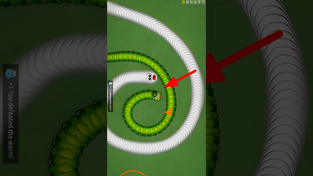 Worms zone io Noob vs Pro: The Epic Revenge! 🐍🔥Worms Zone: Unlimited Kill Streak! 🏆 snake game saamp