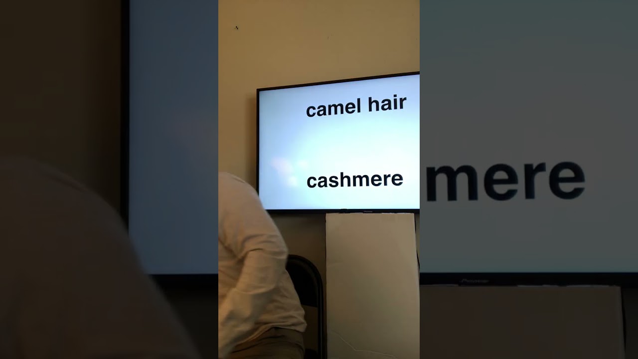 words of the day- camel hair, cashmere. Video 660