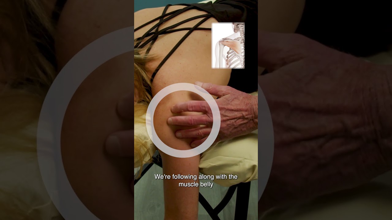 How Do You Palpate the Infraspinatus?