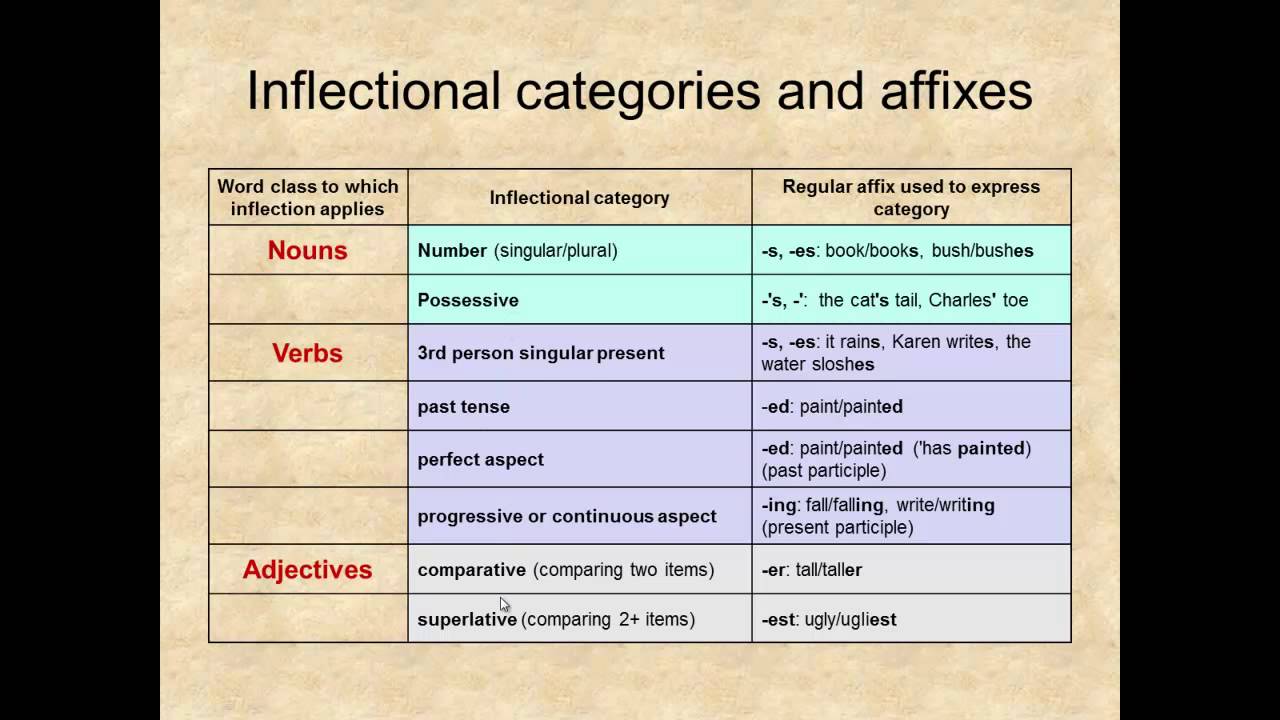 Lexicology Unit 10 Morphology
