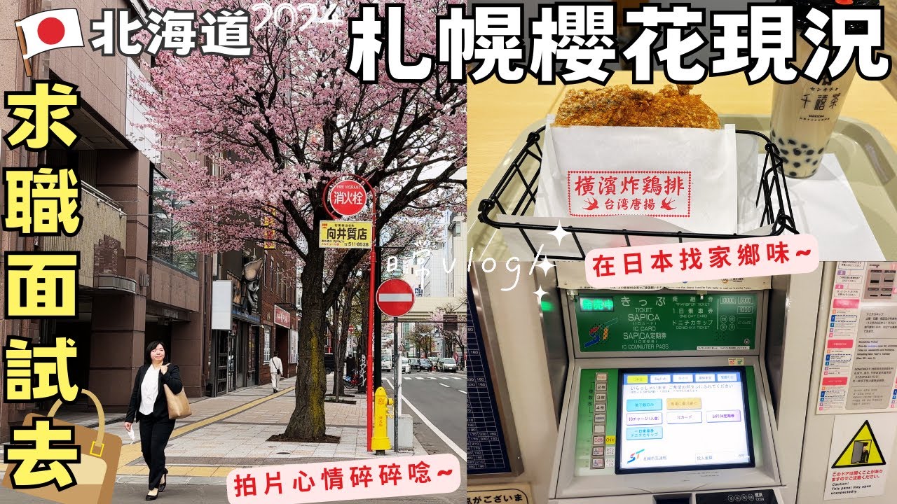 【札幌櫻花現況2024】要找工作了?面試去~微創業拍片心情碎碎唸 ft.Teddy Blake