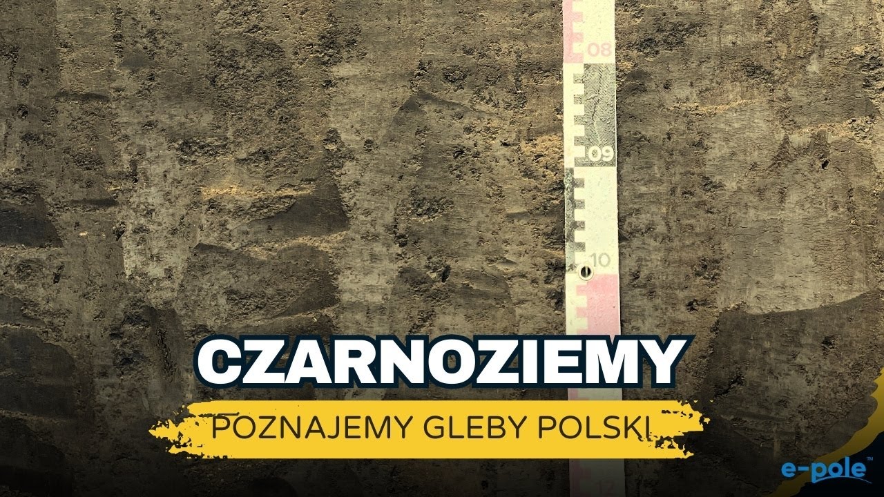 💡 Perła wśród gleb - CZARNOZIEMY! Poznajemy gleby Polski z prof. Bartłomiejem Gliną | e-pole