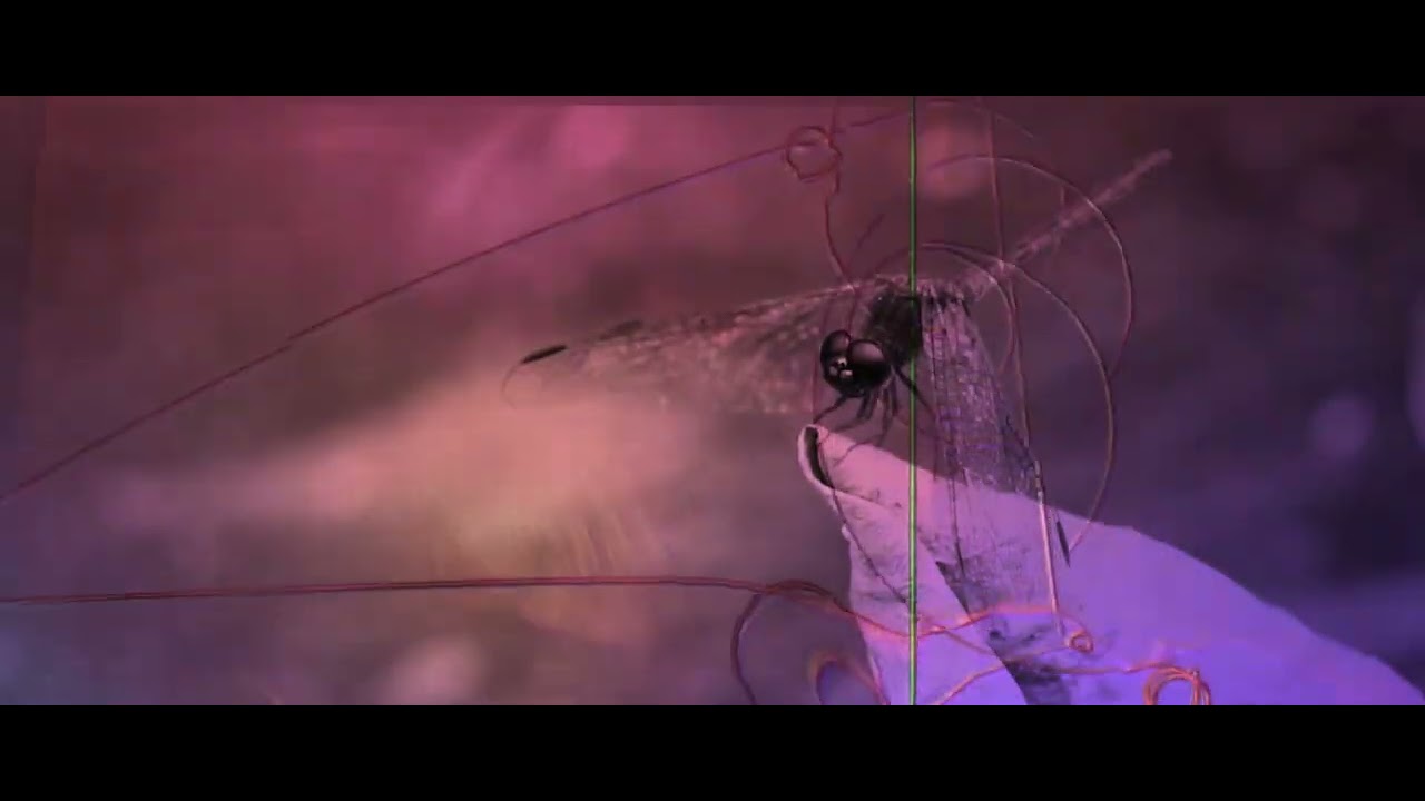 The Dragonfly