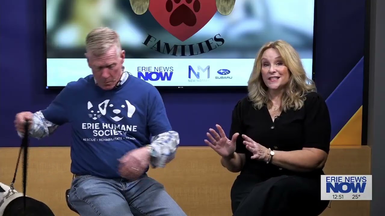 Finding Furever Families: Hercules