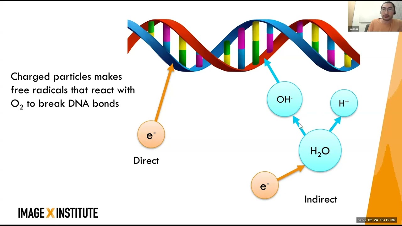 Radiobiology 101