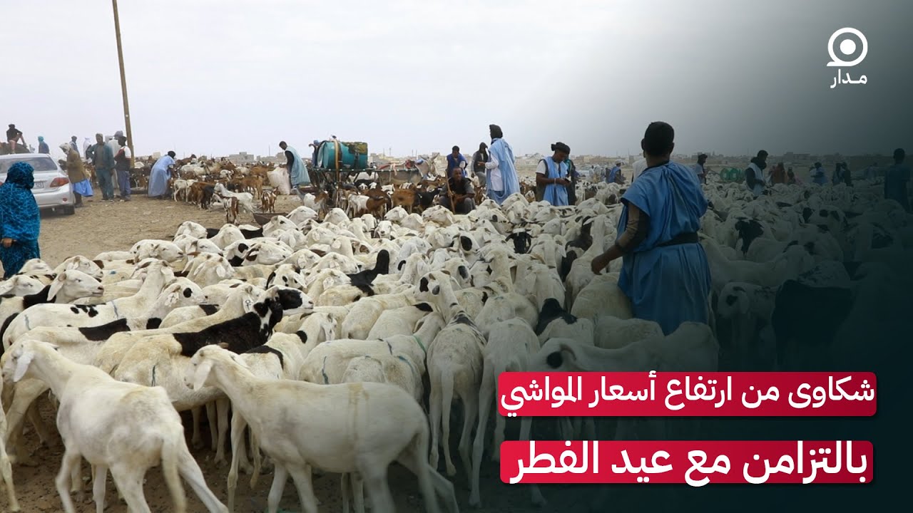 شكاوى من ارتفاع أسعار المواشي بالتزامن مع عيد الفطر