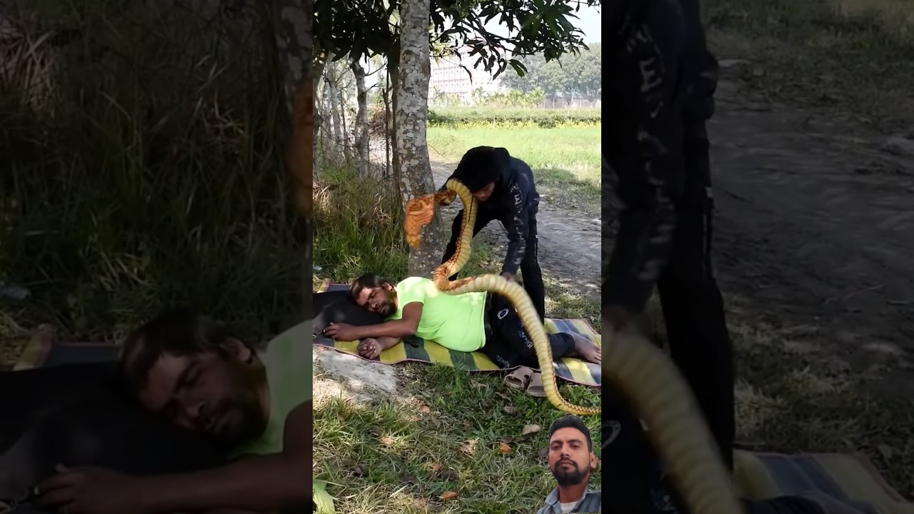 Sleeping Grandpa vs. Fake snake – FUNNIEST Prank Ever! Part-02 new fun box 
