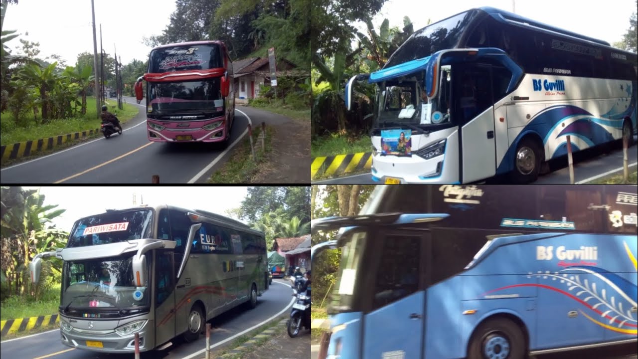 Hiburan sama kawan bus #telolet # prawisata#viral
