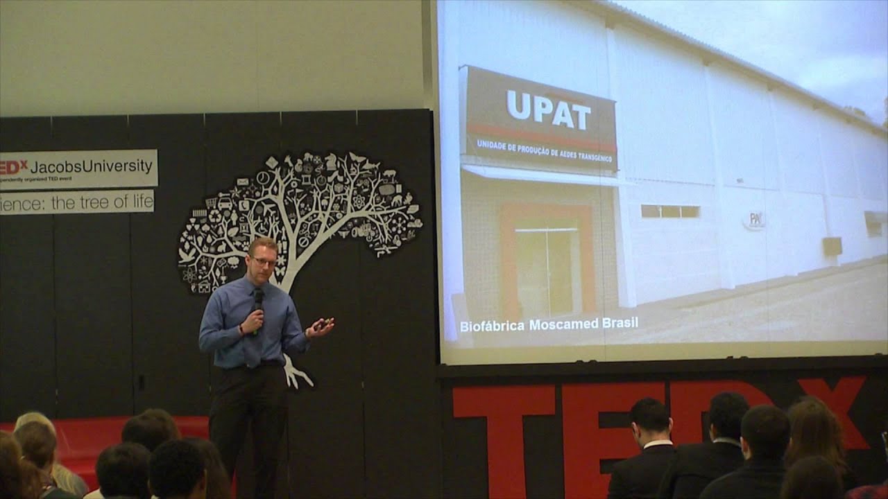 The mosquito: Derrick Nimmo at TEDxJacobsUniversity