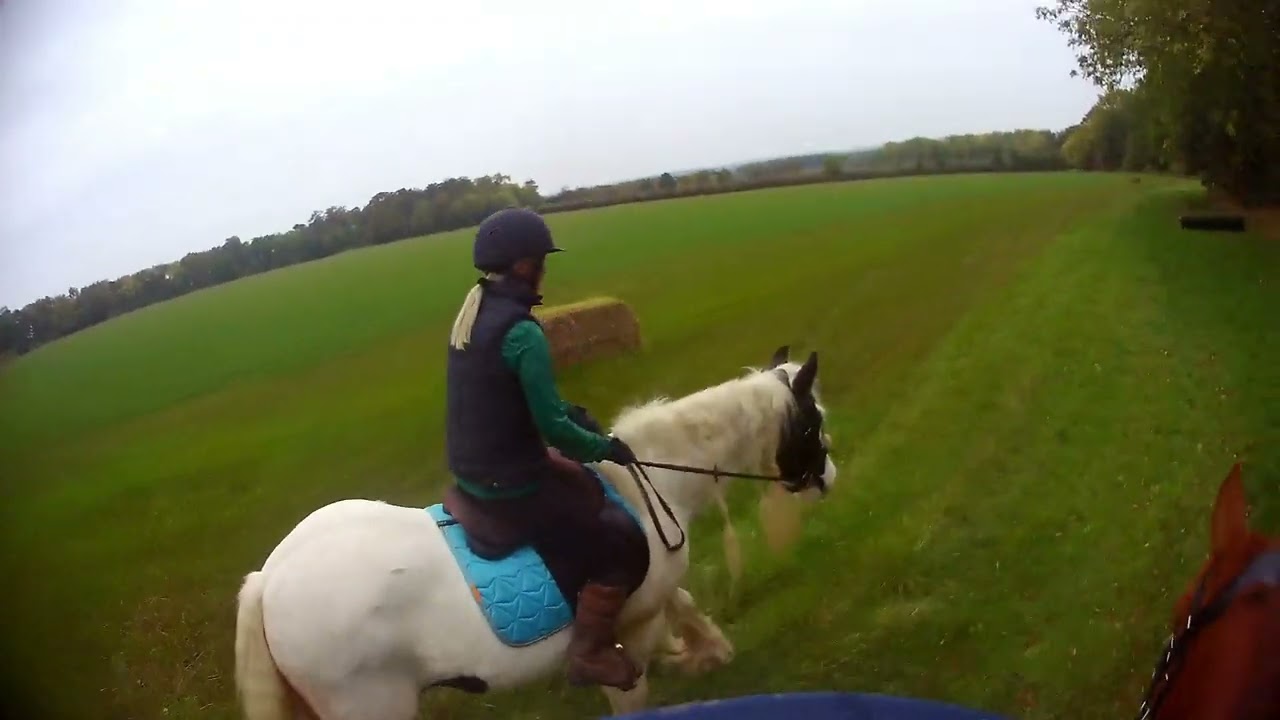 Well Vale 17 10 2025