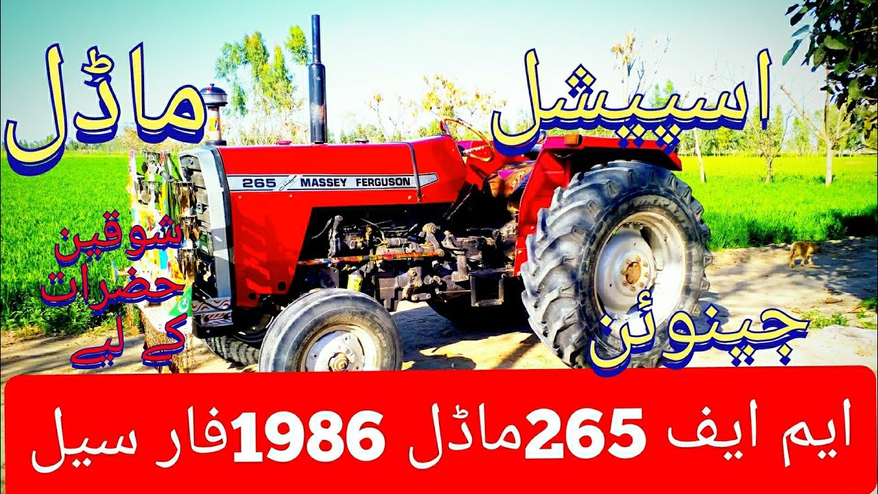 Used Imported Tractor MF.265 Model 1986 | 70 Hp Second Hand Traktor MF.265 For sale |Layyah Tractors