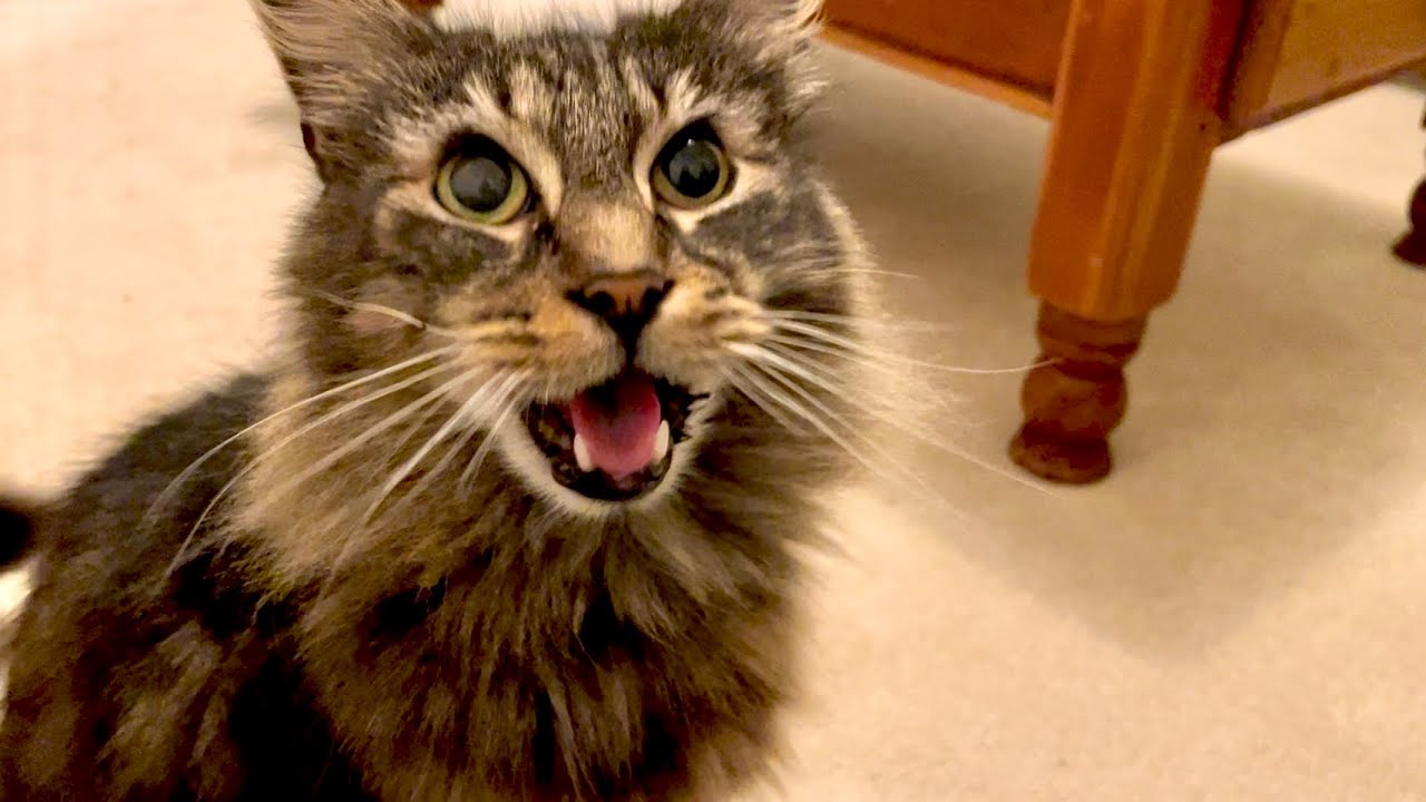 Eric says “You should never leave the house again without consulting me!”