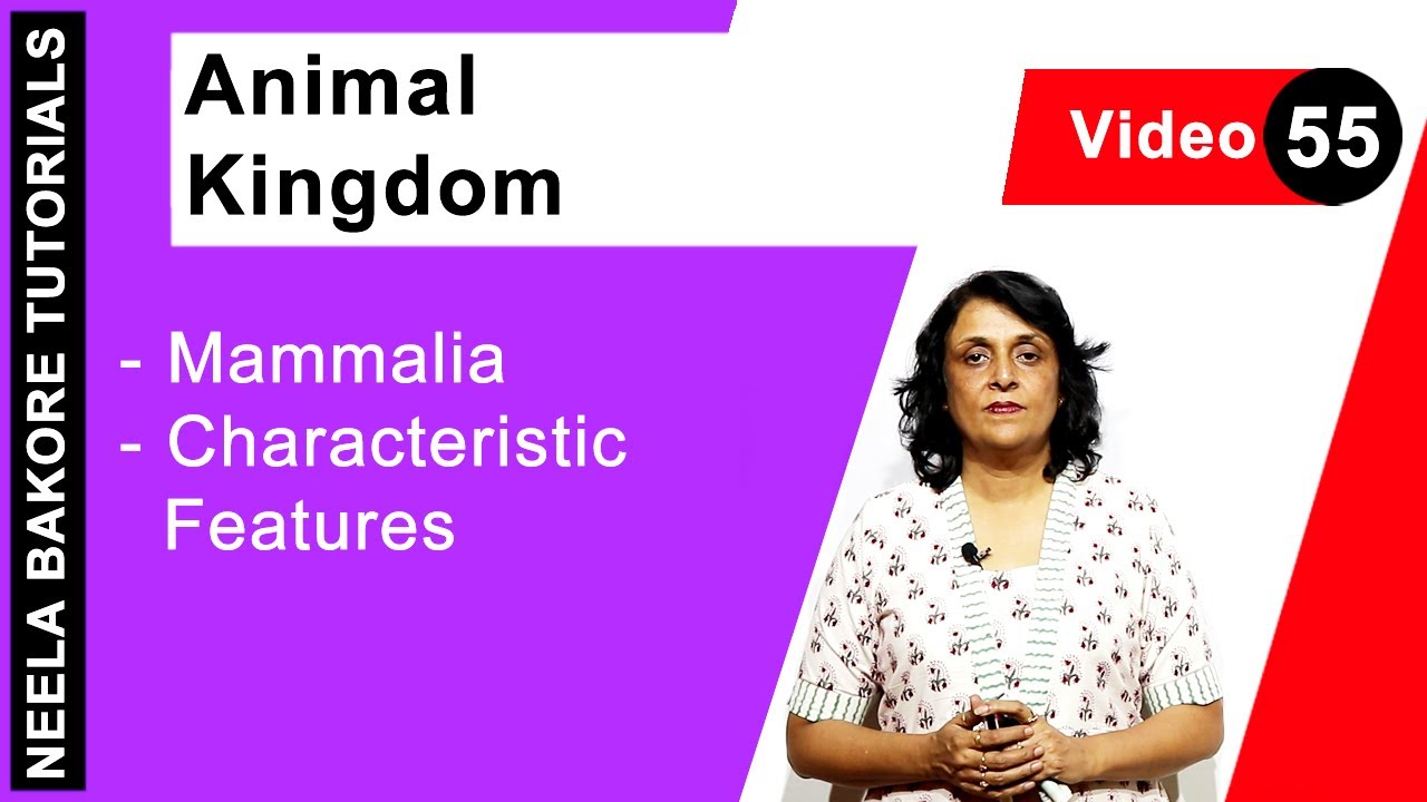 Animal Kingdom | NEET | Mammalia - Characteristic Features | Neela Bakore Tutorials