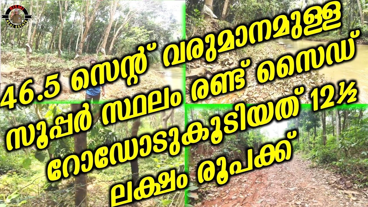 46.5 സെന്റ് വരുമാനമുള്ള സൂപ്പർ സ്ഥലം രണ്ട് സൈഡ് റോഡോടുകൂടിയത് 12½ ലക്ഷം രൂപക്ക് | plotes for sale |