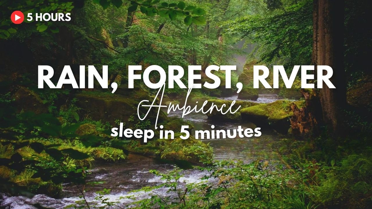 5 Hours of Rain & River Sounds Ultimate Sleep Ambience in a Misty Forest