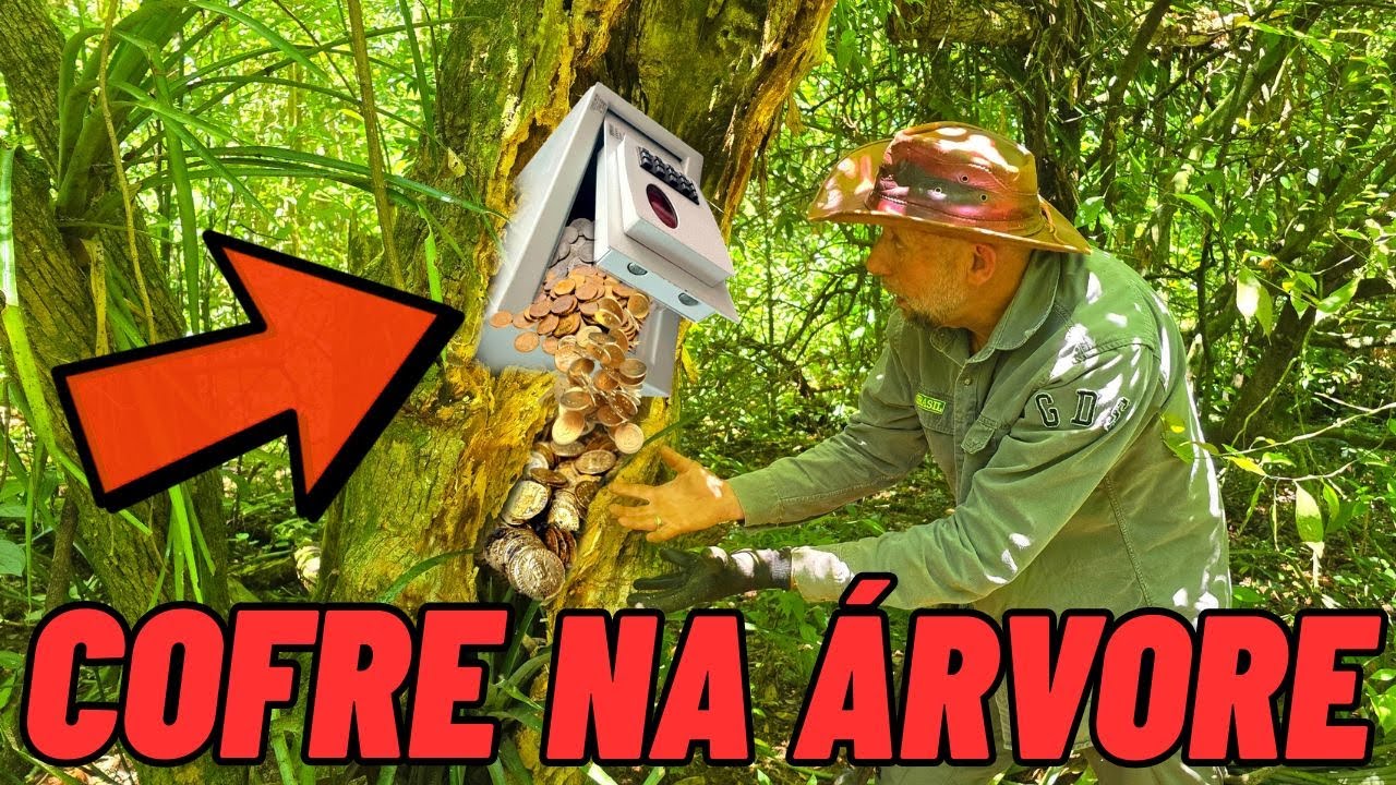 TESOURO encontrado COFRE DENTRO da ÁRVORE!!!