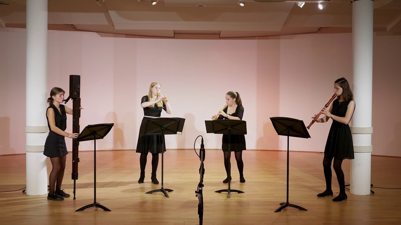 Fasch Sonate g-moll (Largo-Allegro)