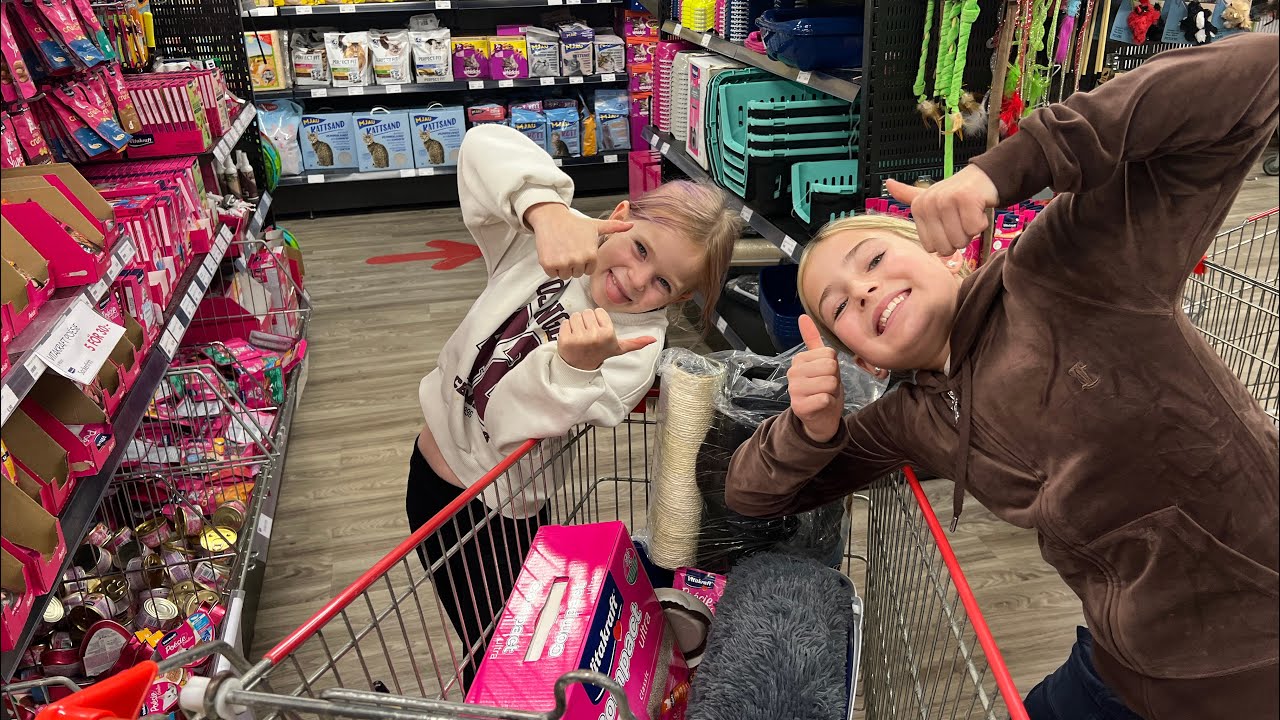 Nya familjemedlemmar, kan ni gissa vad vi köpt? - VLOGG