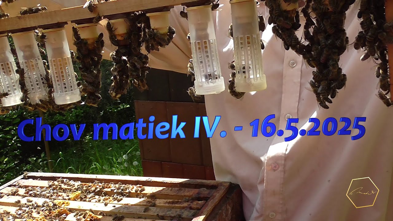Chov matiek IV. - 6.5.2025
