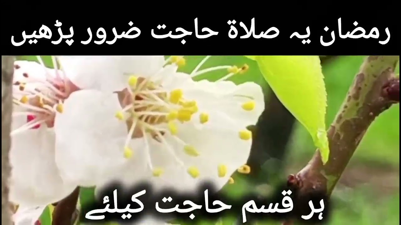 کیا کمال والہ نماز ہے صرف 5 منٹ اور ہر قسم حاجت