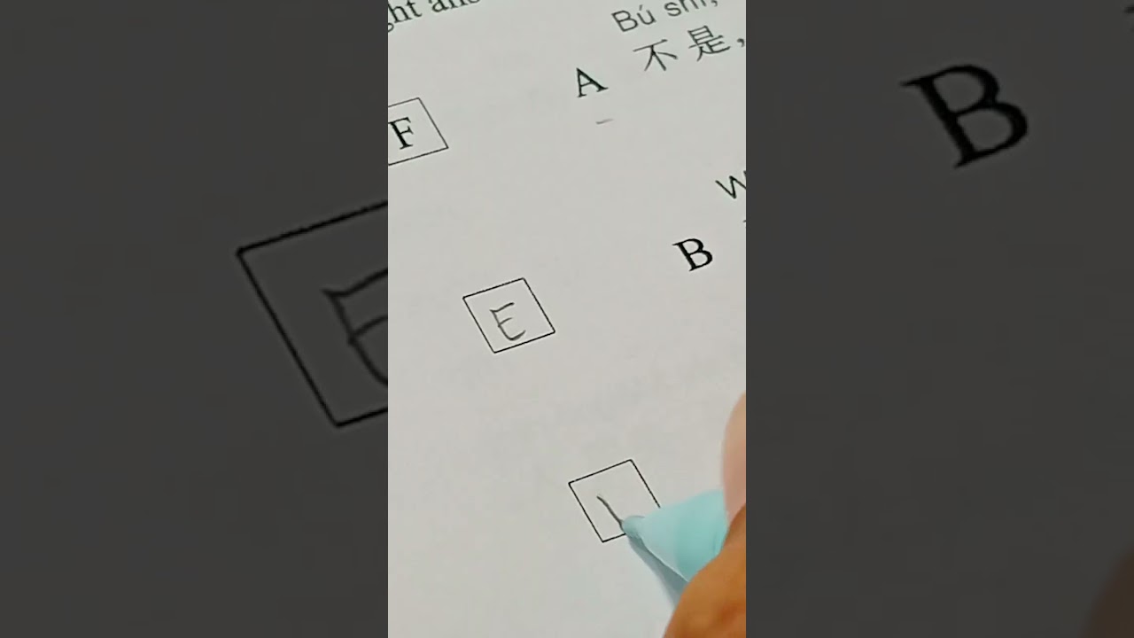 Chinese HSK 1  Exam (Mandarin) INDIAN Girl Study Chinese  #travelchineselanguage