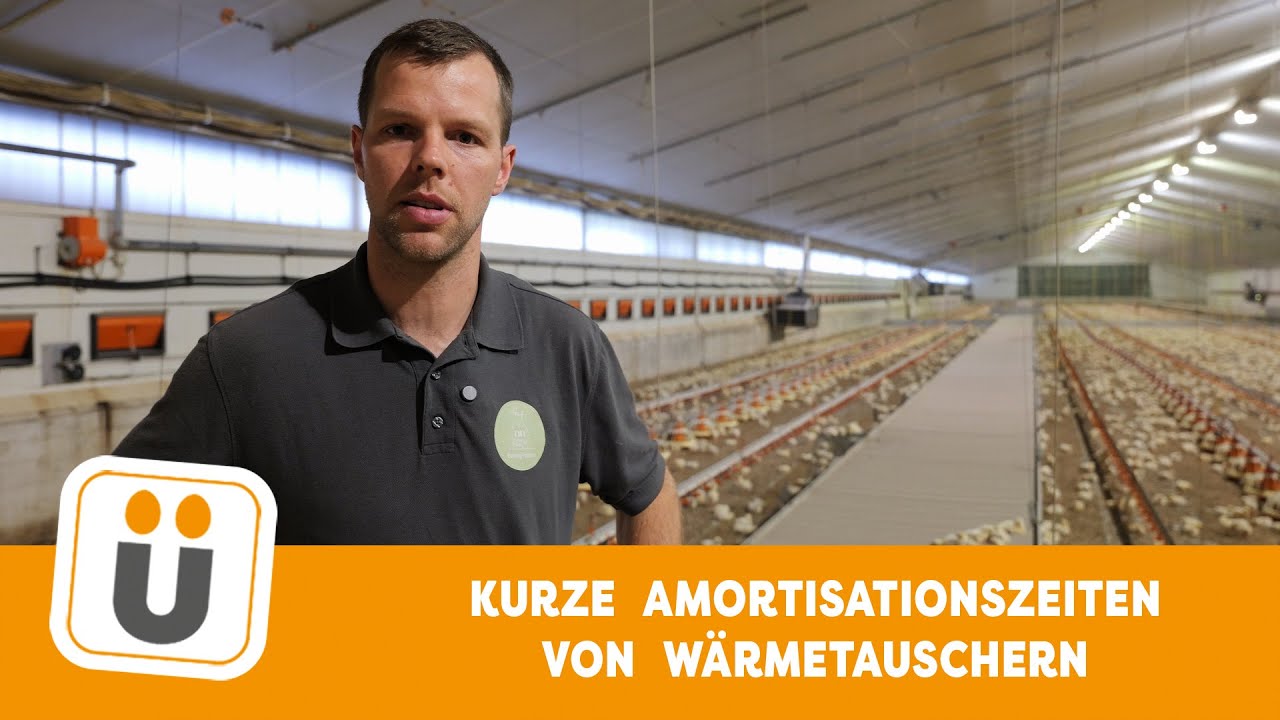 Kurze Amortisationszeiten für Wärmetauscher im Masthähnchenstall