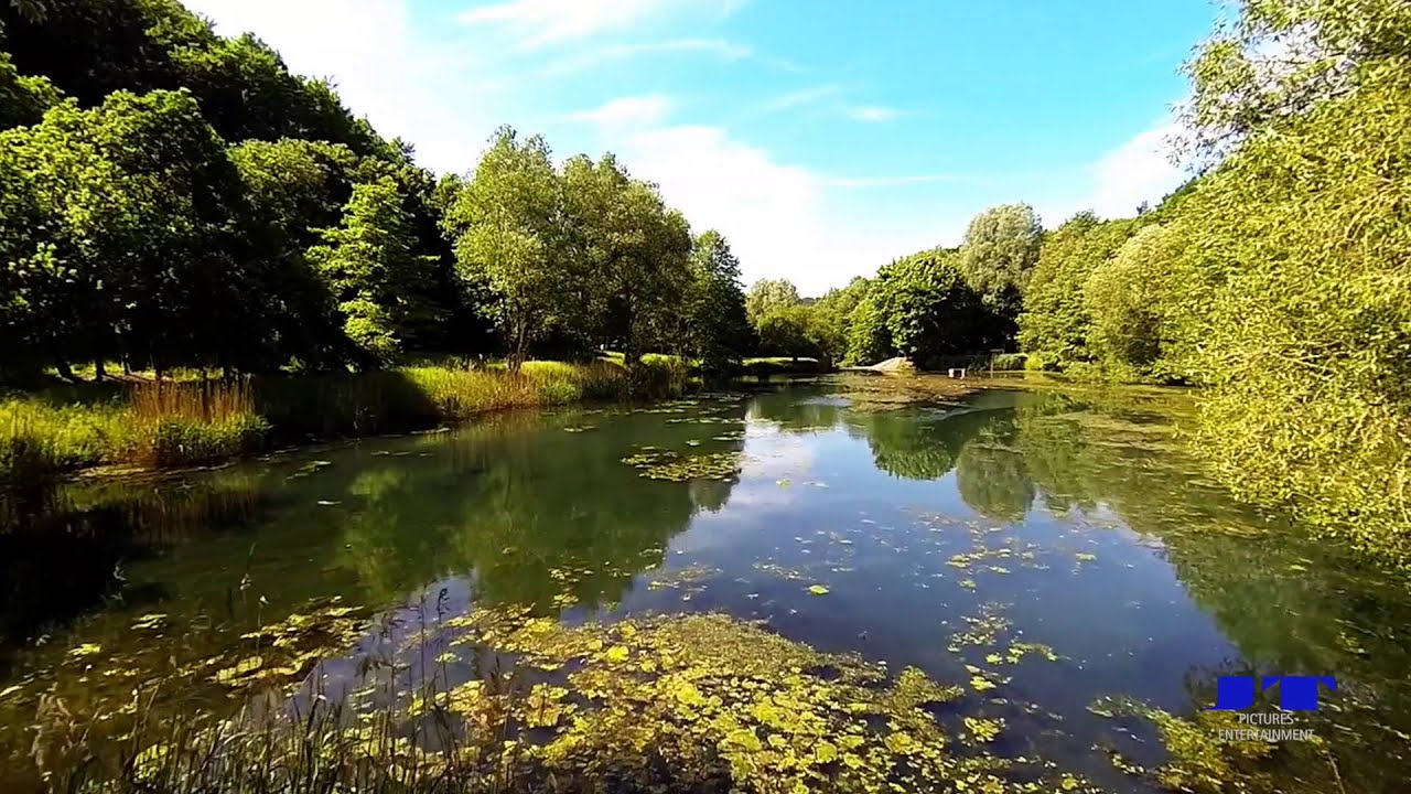 Waldsee Rieden Eifel