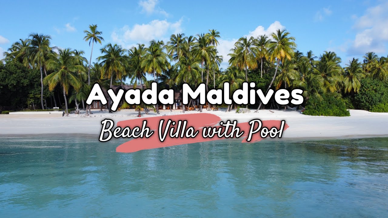 Ayada Maldives | Maldives Vlog | Beach Villa with Pool 🏝 #luxuryresortinMaldives