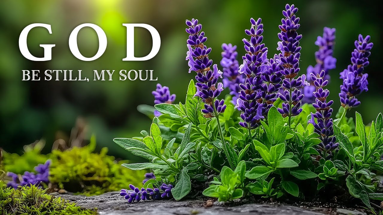 BE STILL, MY SOUL | Deep Prayer Instrumental Worship Music to Encounter God
