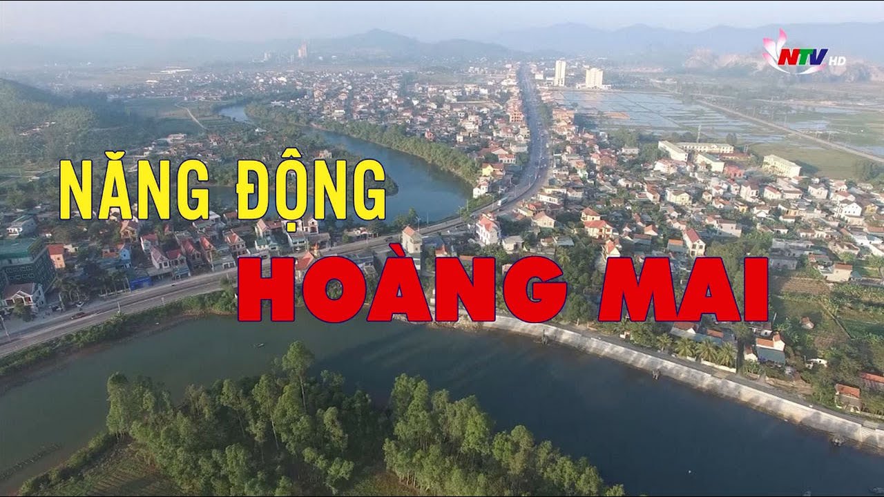 Năng động Hoàng Mai