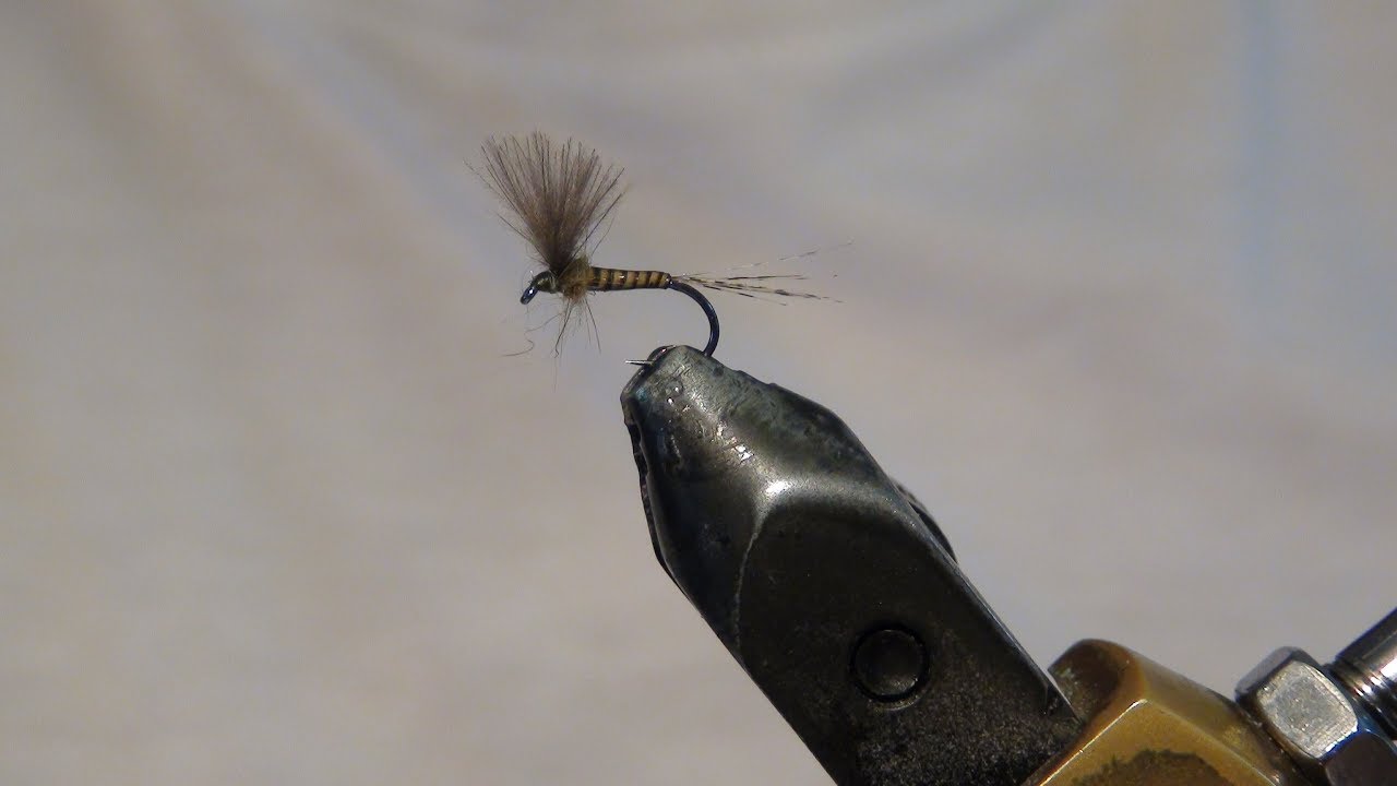 Montage d'une Baetis Rhodanis avec quill de paon ébarbé